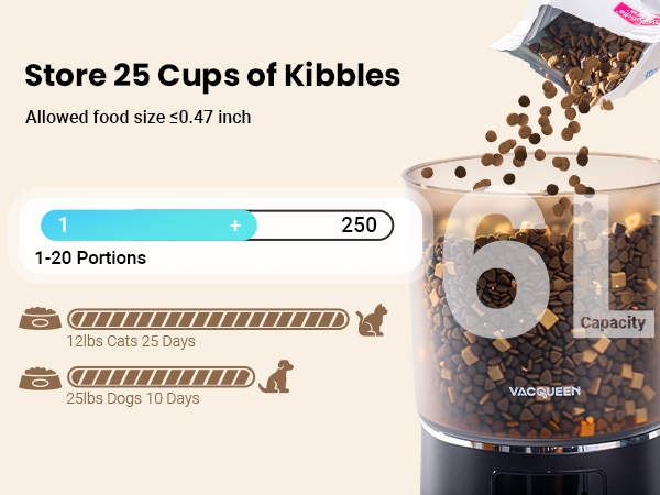 automatic cat feeder