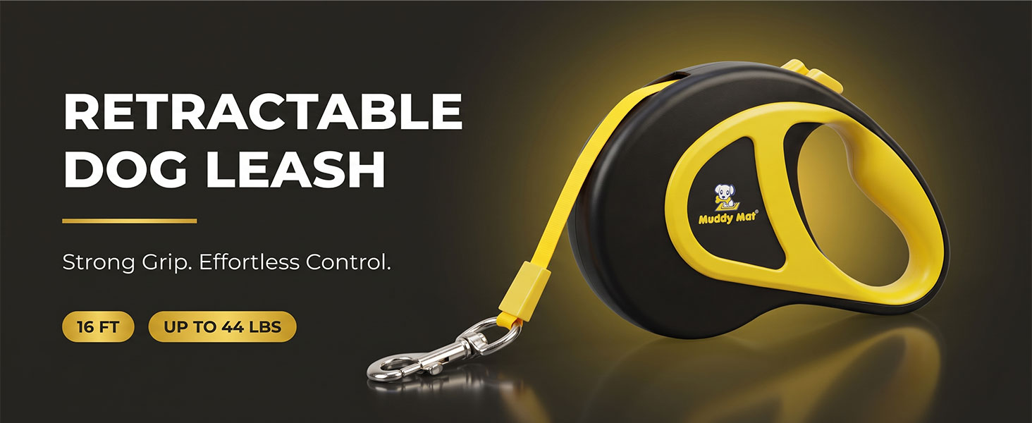 Dog leash A+ content images