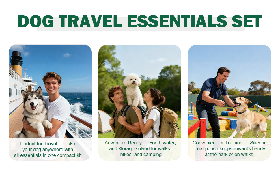 Dog Travel Essesntials