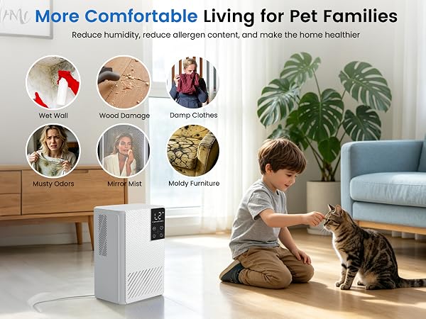 dehumidifiers for home