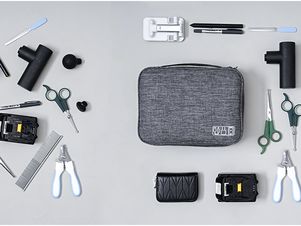 orgawise electronics organizer