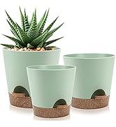 YNNICO Indoor Self Watering Planters with Drainage Holes and Saucers, 9,8, 7.5 Inches, Green, 3 P...