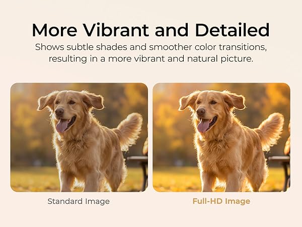 More Vibrant and Detailed