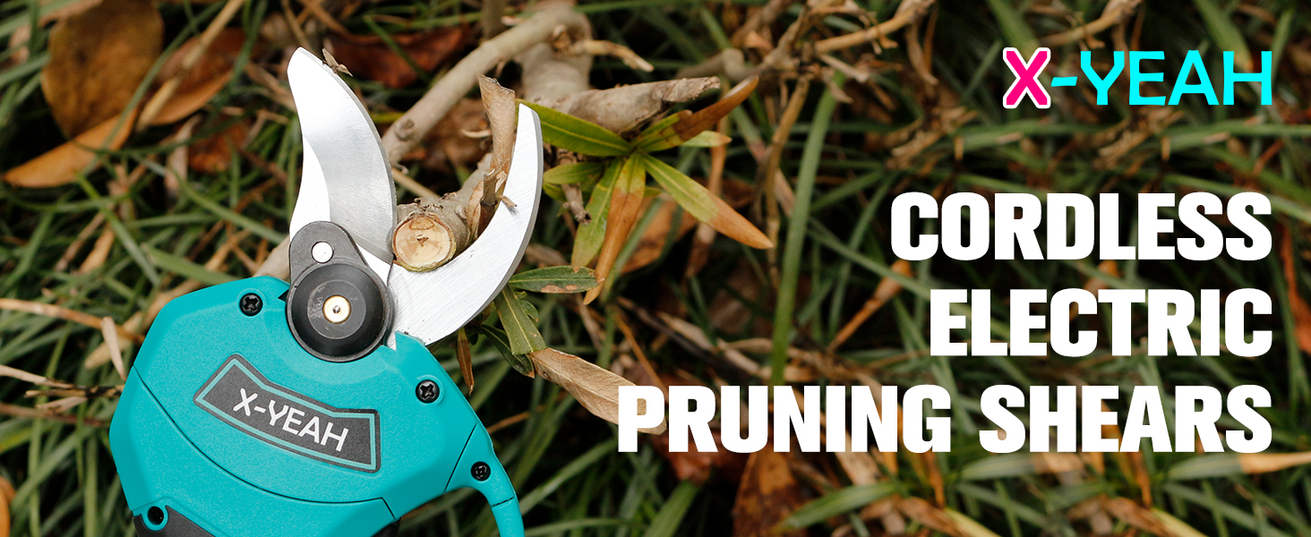 Pruning Shears
