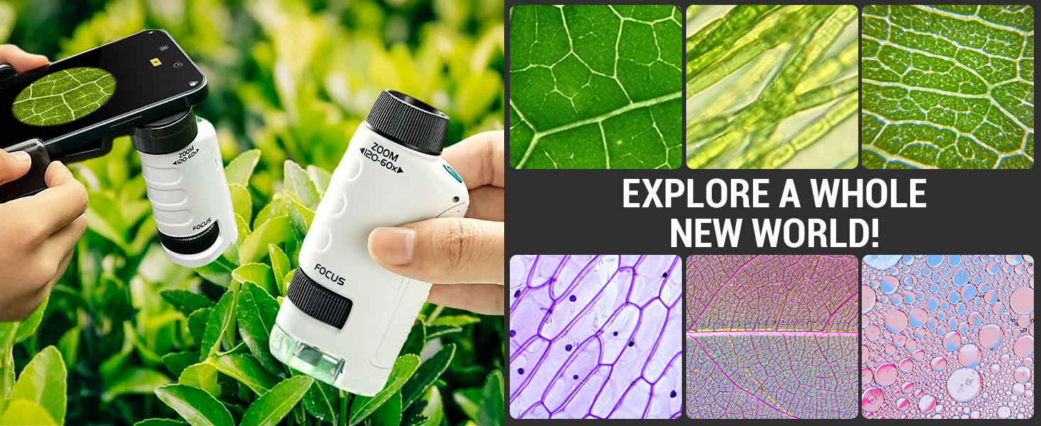 Mini Microscope for Kids