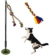 SYOOY Outdoor Interactive Dog Toys,Tether Tug Outdoor Dog Toy Exercise Equipment in Yard Park wit...