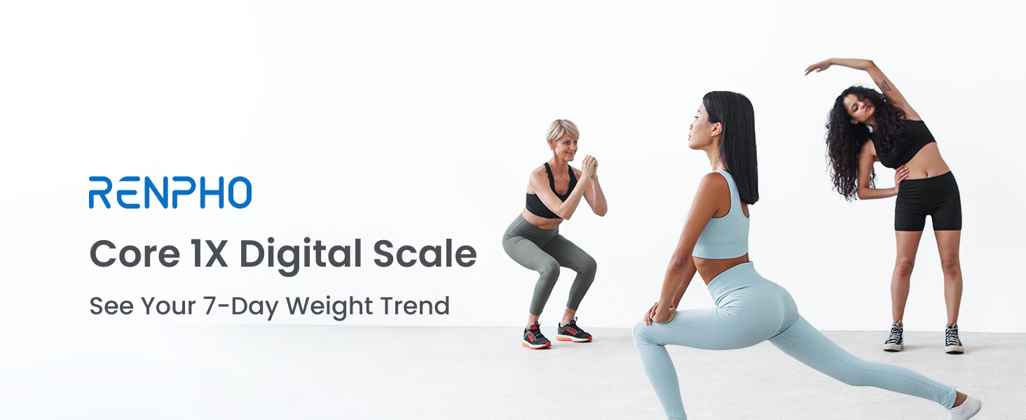 scale