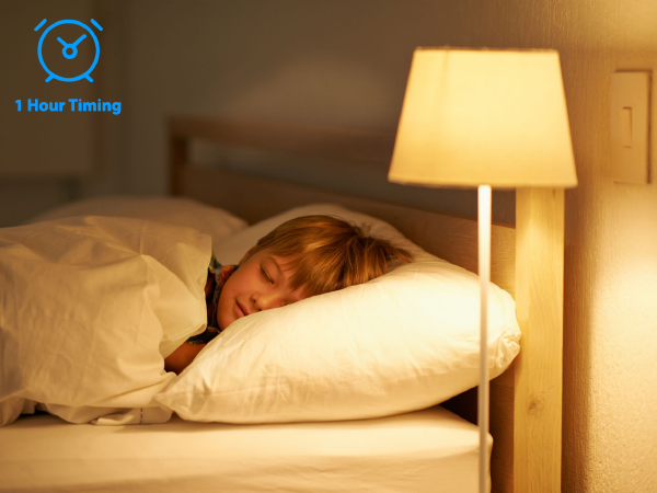 remote light bulbs