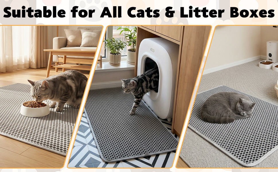 cat litter mat