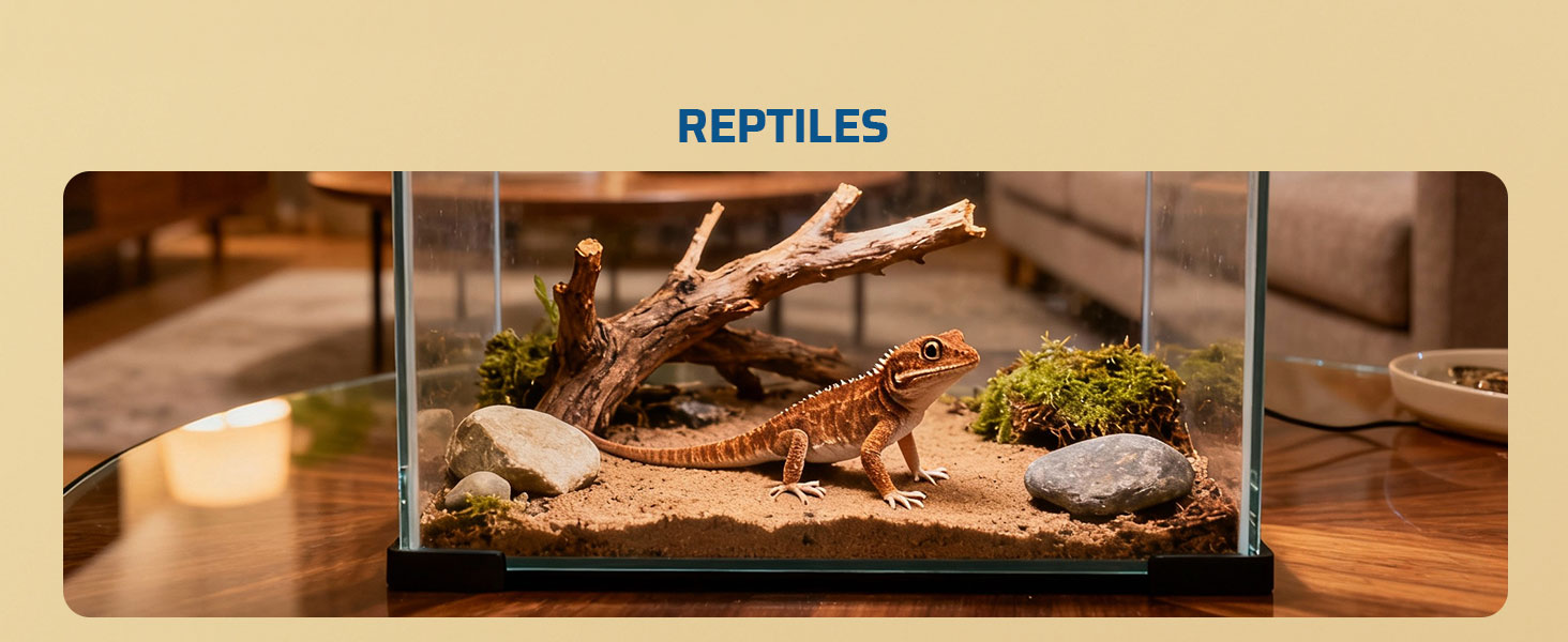 Reptiles