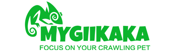 Reptile Humidifiers Misting System Automatic with Timer