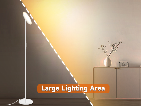 Tall Lamp
