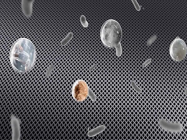 LQ-Mini-AA1200900-06Carbon