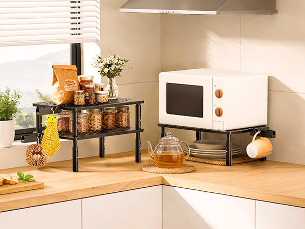 Canyora Computer Monitor Stand Riser with Storage