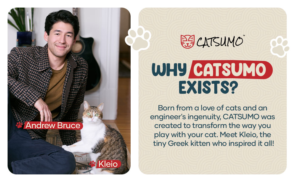 Why CATSUMO exists founder story