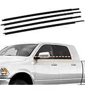 Weatherstrip Window Molding Trim Seal Belt Compatible with 2009-2023 Dodge Ram 1500 2500 3500 450...