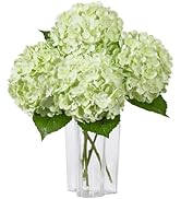 DuHouse 3Pcs Large Hydrangea Artificial Flowers,20 inch Latex Real Touch Hydrangeas Lifelike Hydr...