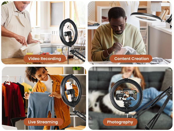 overhead phone mount with light