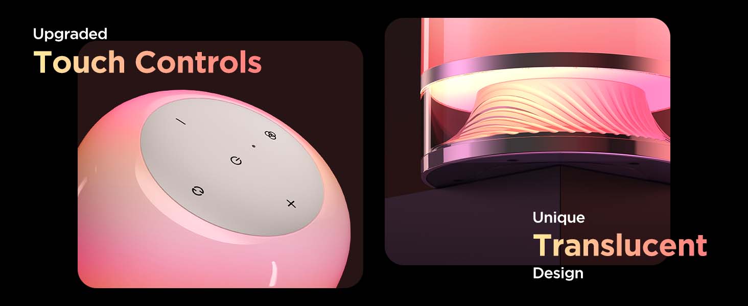 Newly Upgraded Design