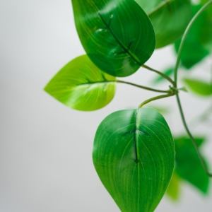 fake plant
