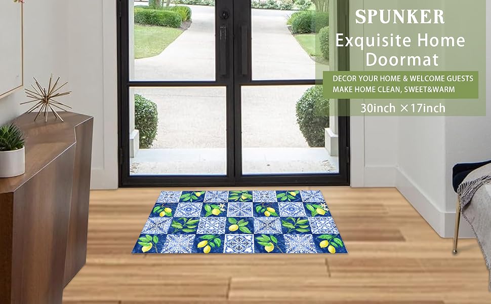 Doormat Indoor Front Mats