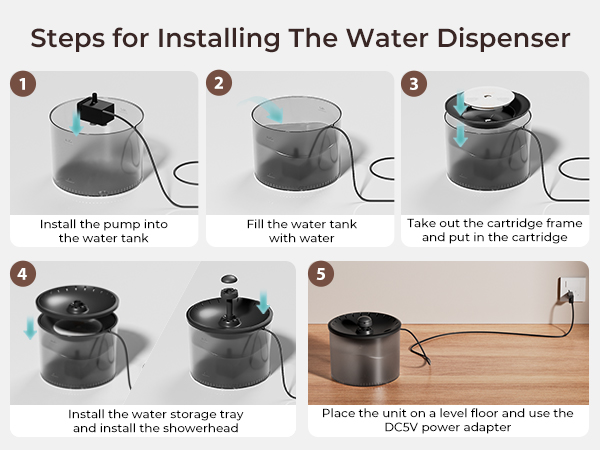 Cat Feeder and Water Fountain