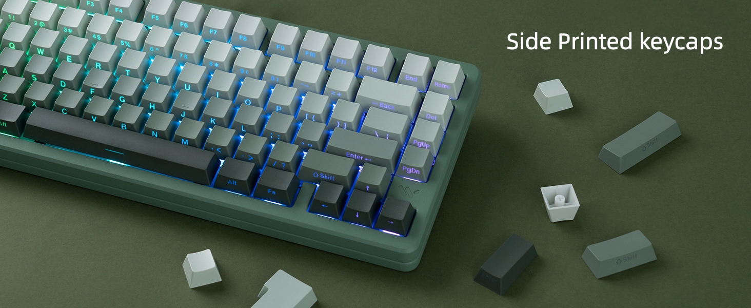 seaweed Double Shot PBT keycaps Set,Shine Through Keyboard keycaps Gradient 60% 75% 100%,OEM Profile