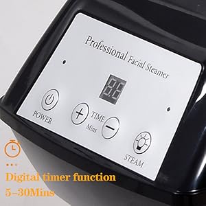 facial steamer professional