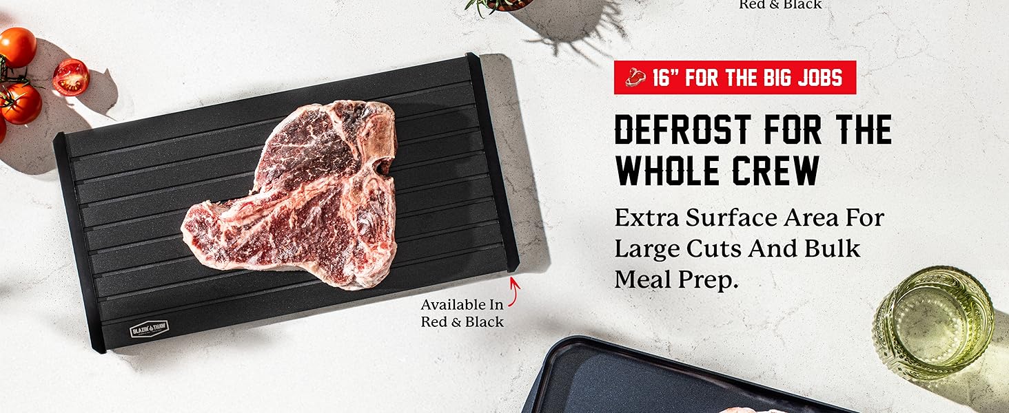 defrosting tray thawing plate frozen foods magic magical quick large trays thawer dethawing premium