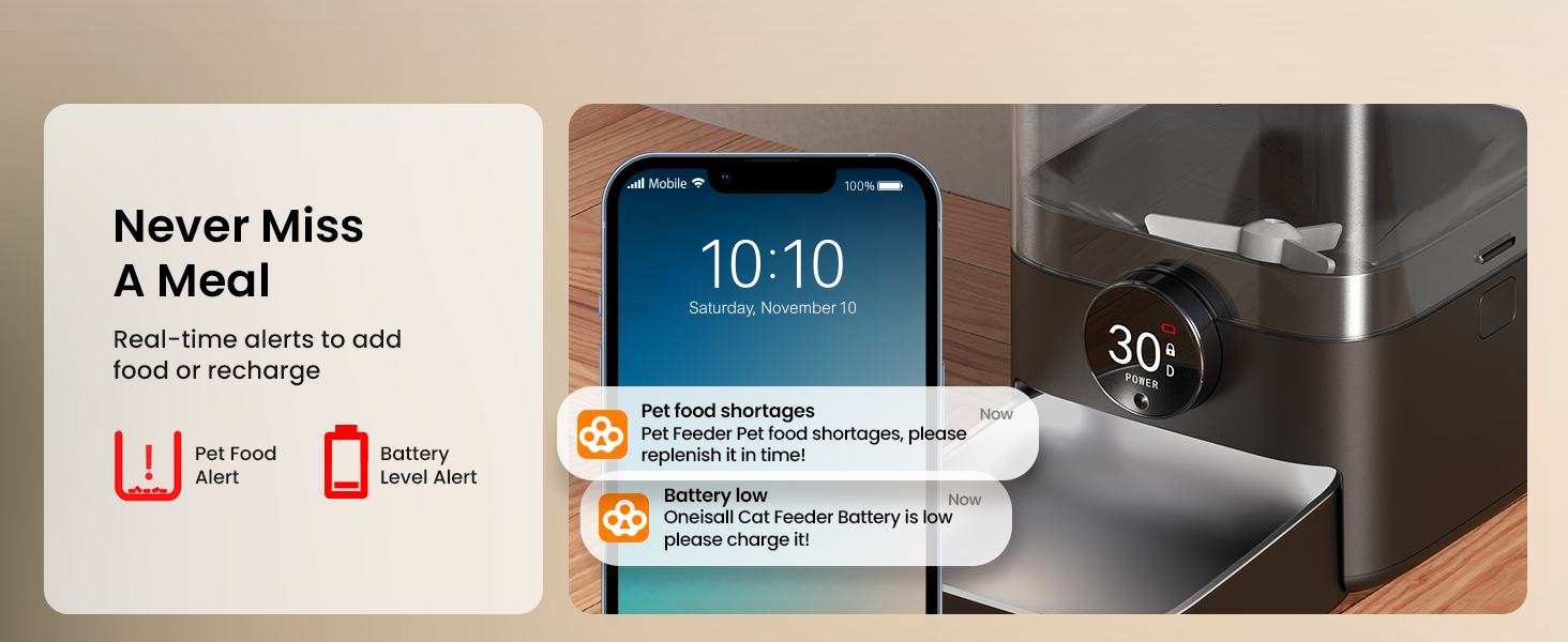 auto feeder cat food