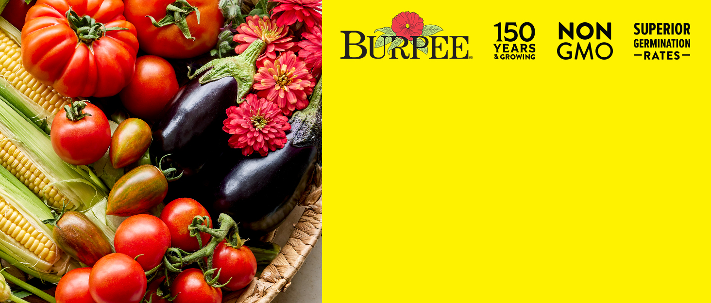 Vegetable/GeneralMerch Background
