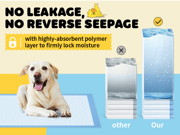 pee pads for dogs