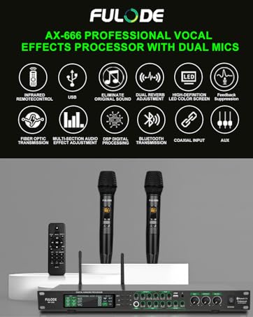 professional effect processor