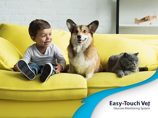 EasyTouch Vet GMS - Lifestyle