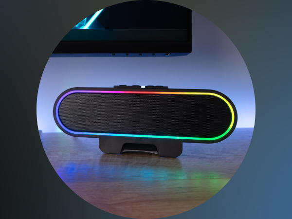 CA-2890GX Standalone Speaker
