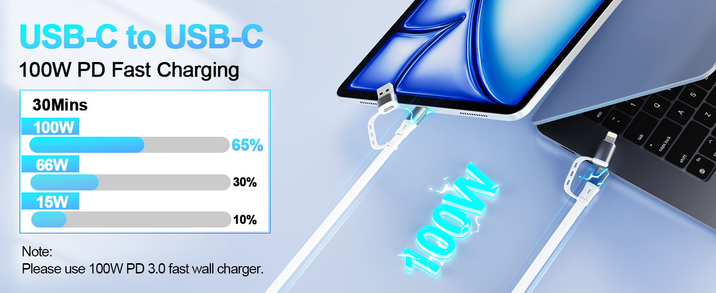 USB-C + Lightning Cable