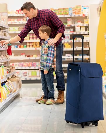 folding shopping cart