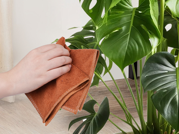 Plant Care &amp; Dusting