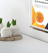 MaxGear Brochure Holder 8.5 x 11 inches Flyer Holder Acrylic Brochure Holders Wall Mount Pamphlet...