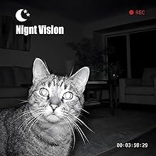 night vision