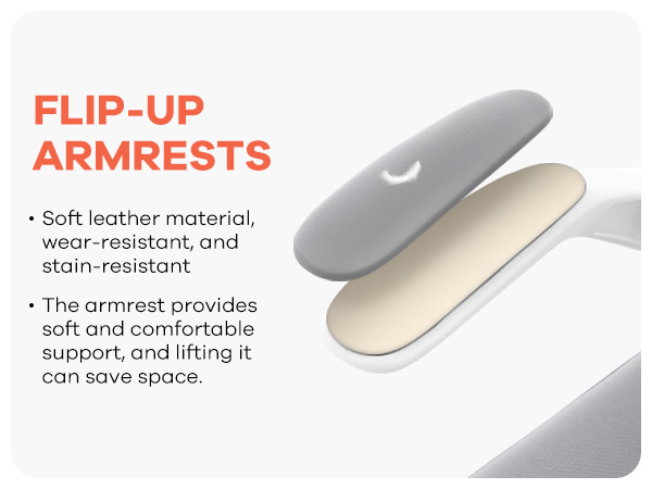 Ergonomic Office Chair