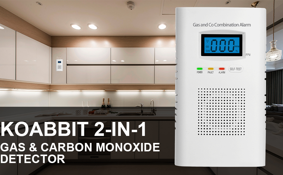 Koabbit gas and carbon monoxide detector