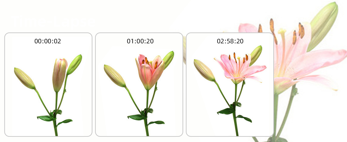 night vision camcorder