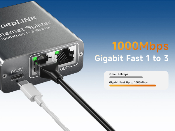 network gigabit switch