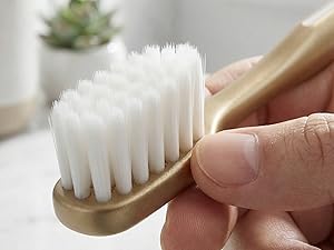 travel case toothbrush