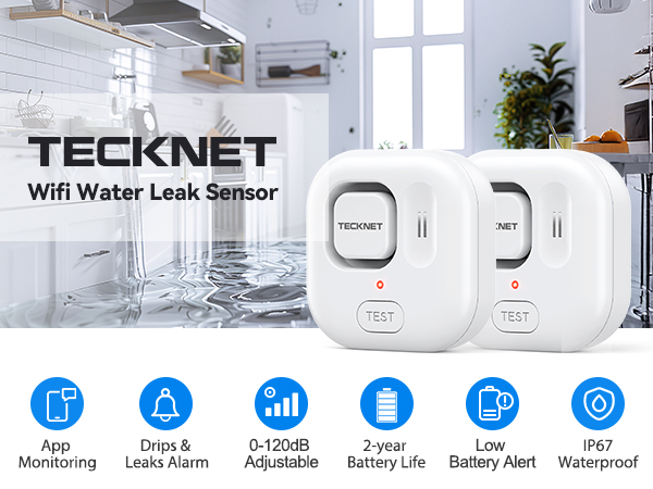 Water Leak Detectors for Home
