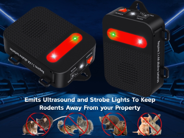 keep rodents away from your property