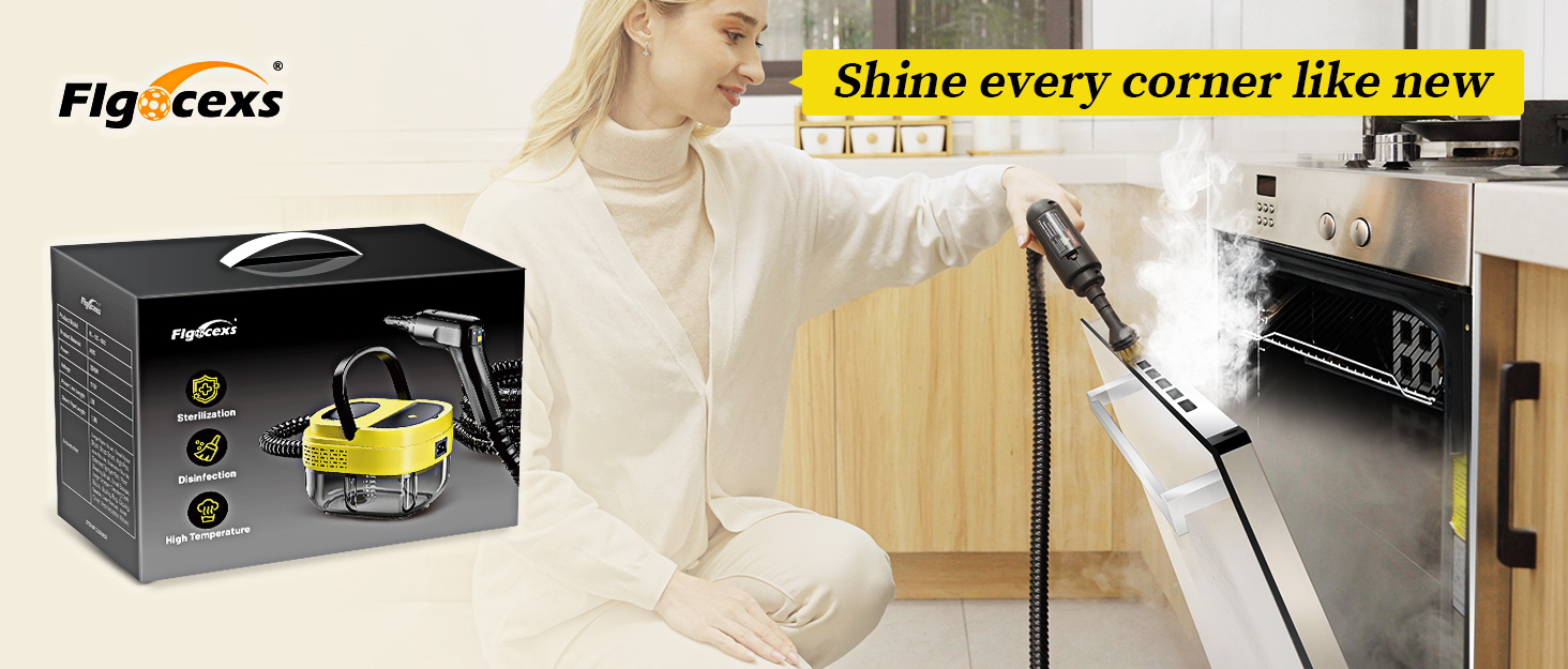 Steam Cleaner,steam cleaner for home,steam cleaner for car,steamer for detailing