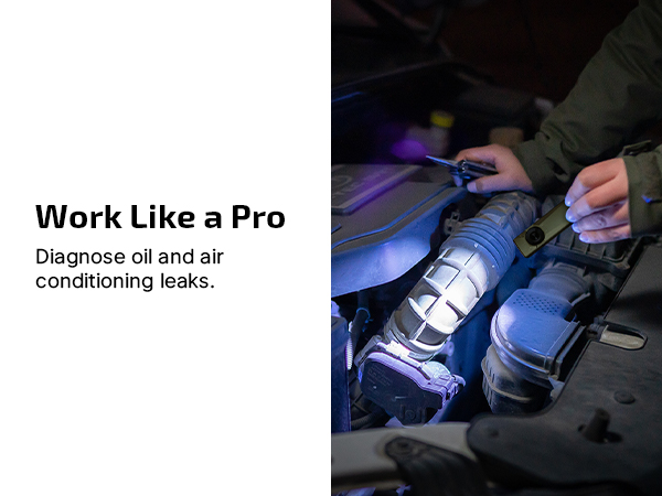 Work Like a Pro