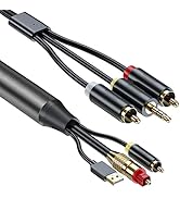 eppfun AV300 Digital to Analog Audio Conversion Cable, Digital SPDIF/Optical & Coaxial to Analog ...